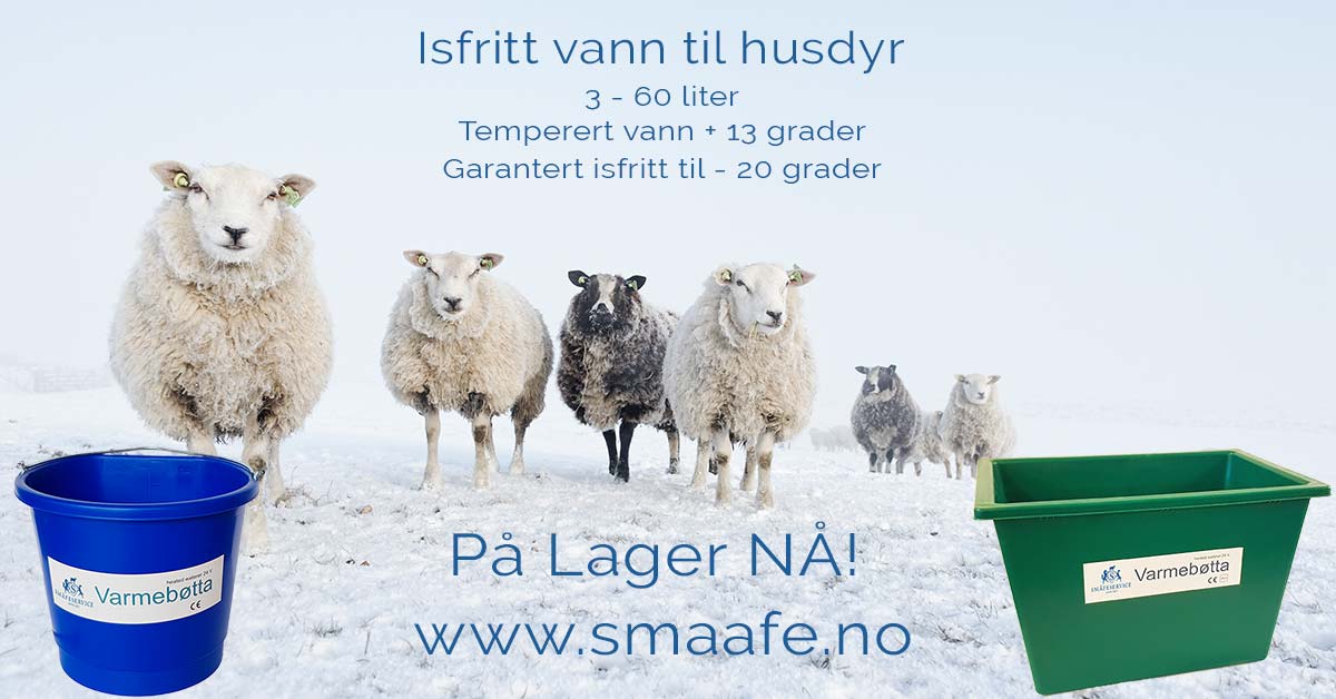 Kampanje Varmebotter 2019 3